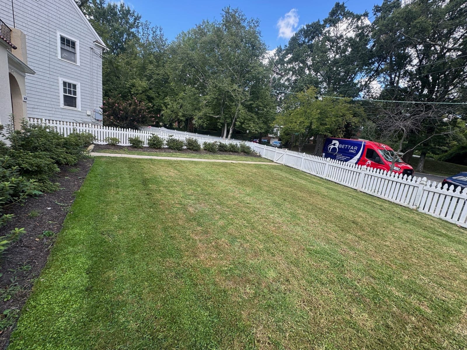 Landscaping & Lawn Project